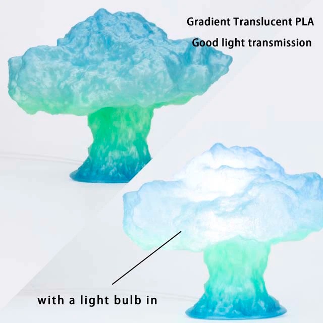 Gradient translucent PLA model with light bulb illumination.